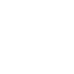 Paralex AI